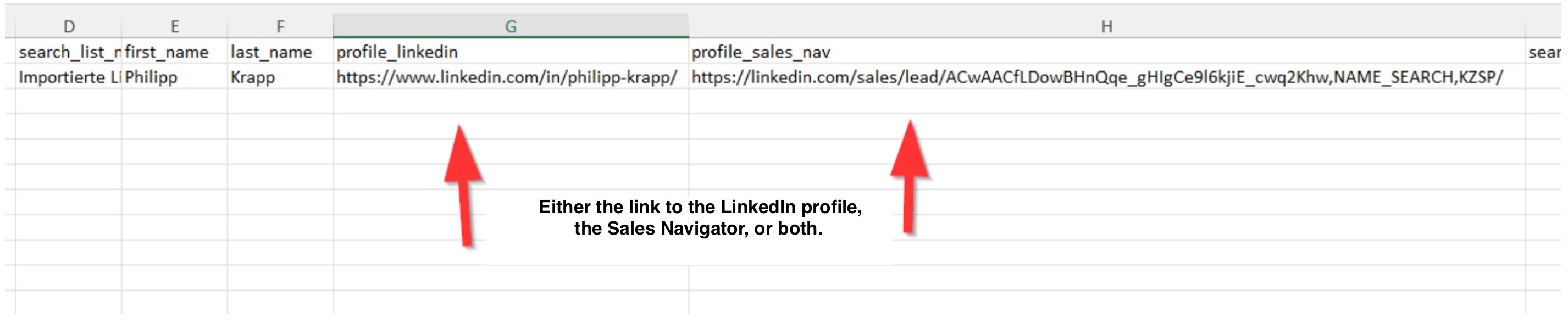 Which fields need to be included in the import Excel table?