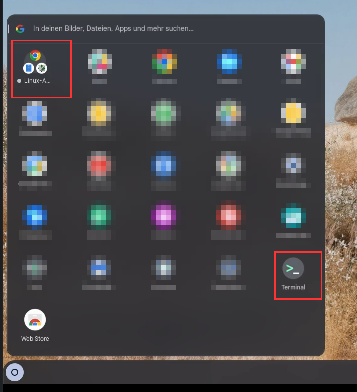 CompLeadly auf dem Chromebook installieren