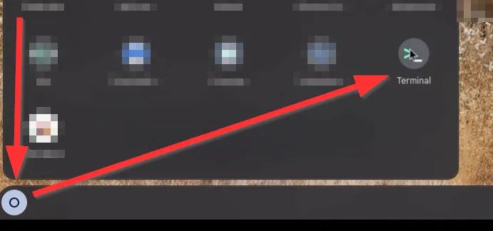 Install CompLeadly on the Chromebook